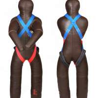Harness for Dummies-mppYS.jpeg