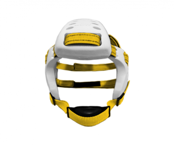 LDR EARGUARD XP 3 PIECE - White LDR with Gold straps-zA7uu.png